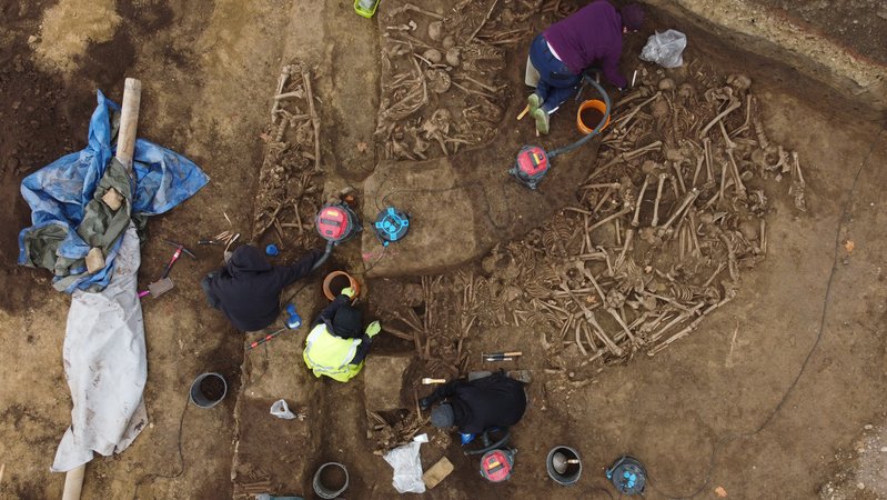Archäologen zwischen Knochenresten | Bild: Slonek Novetus/Wien Museum Archäologen zwischen Knochenresten