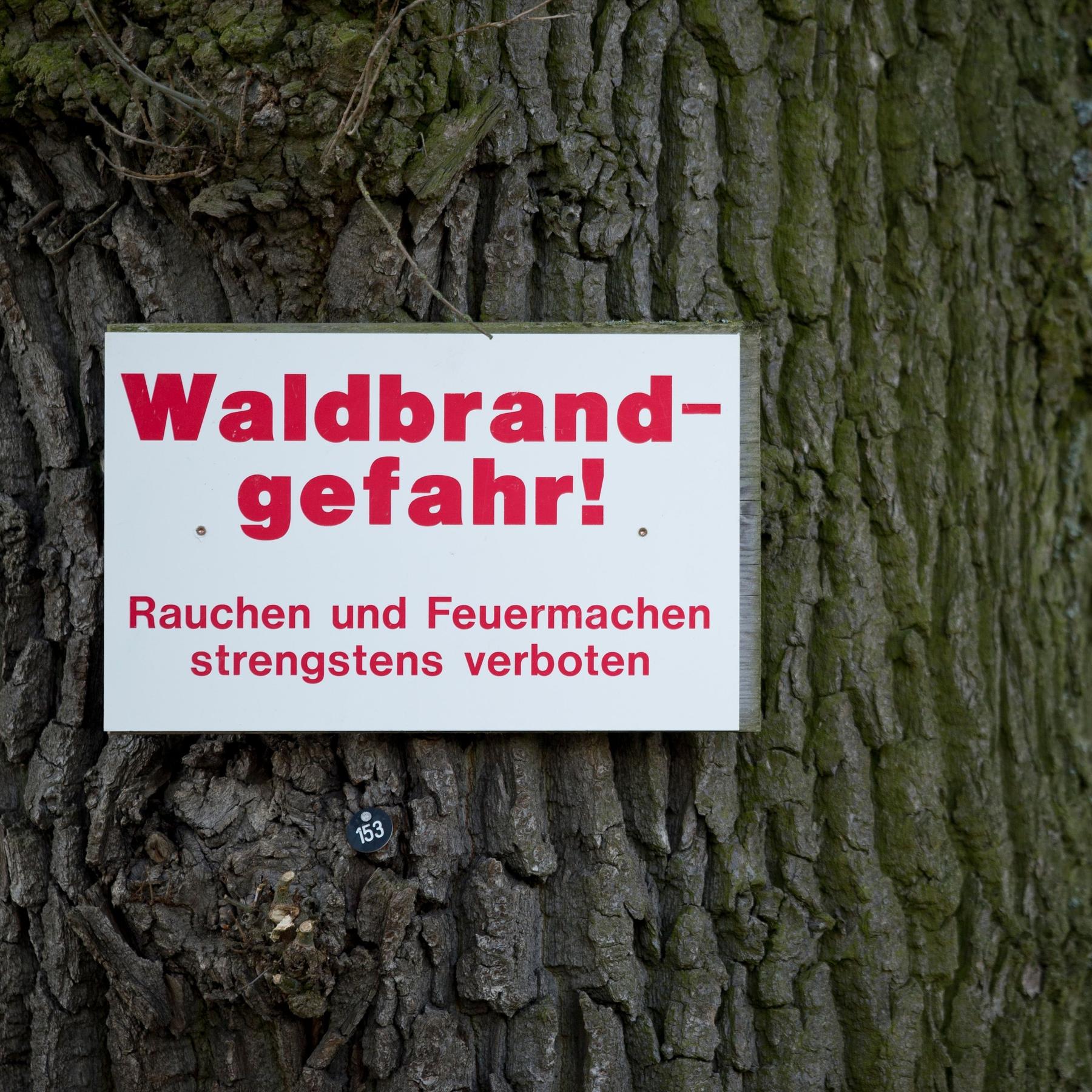 Ein Funke reicht: So trocken ist der Wald in Unterfranken episode artwork