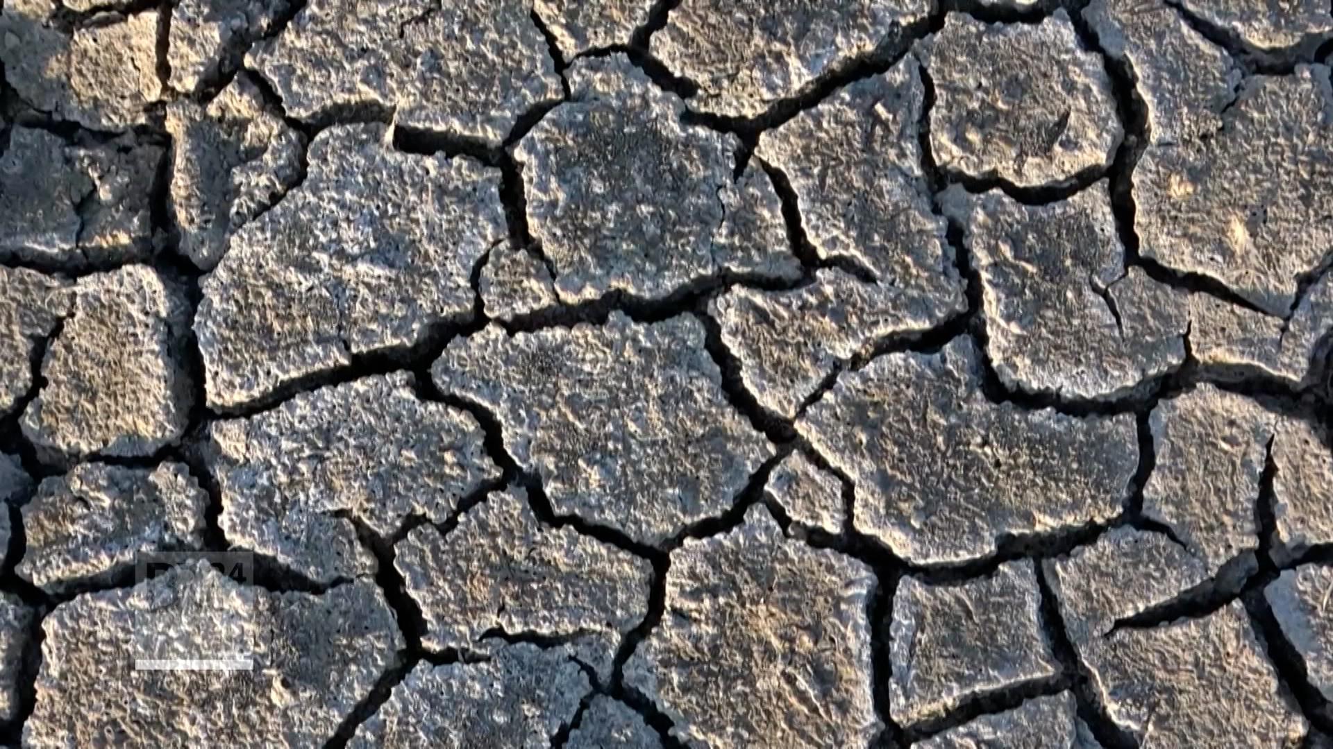 Der Boden eines Feldes ist nach einer langen Trockenzeit aufgerissen.