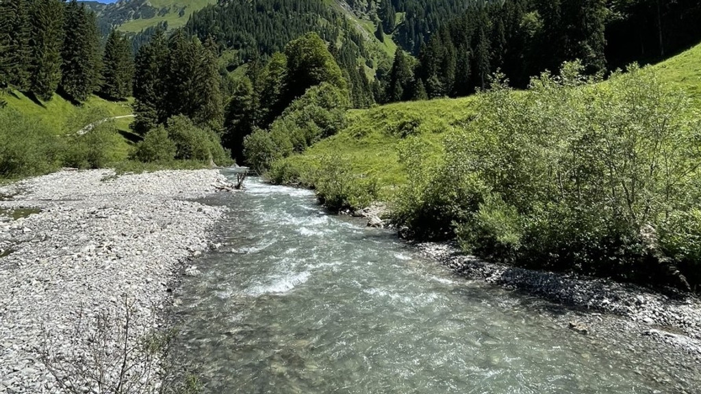 Der Wildbach wurde auf 1,5 km Länge begradigt. So sah der Bach vor der Baumaßnahme aus. 