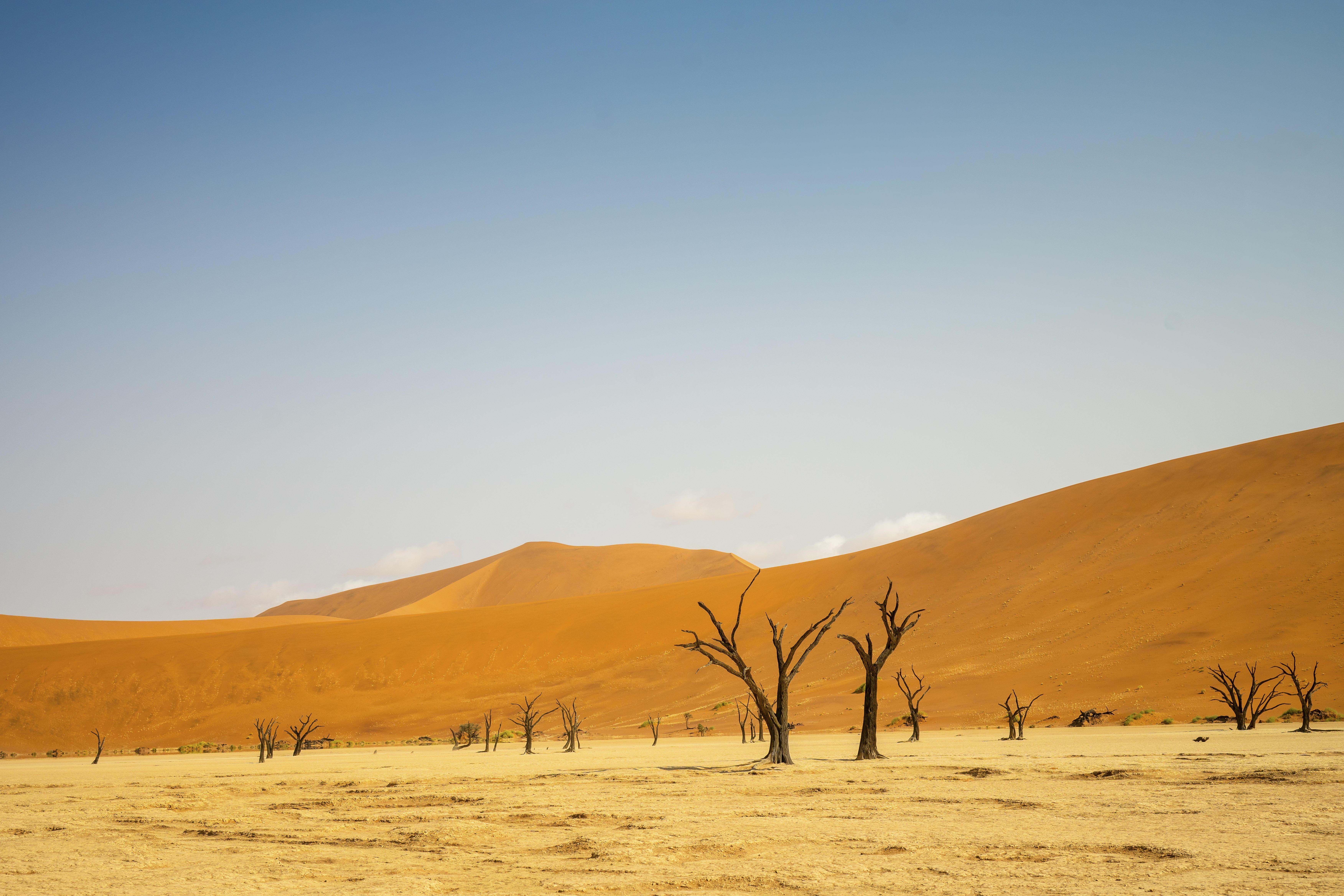 Sossusvlei ist eines der bekanntesten Touristenziele in dem südwestafrikanischen Land, berühmt für seine roten Sanddünen, die zu den höchsten der Welt gehören.