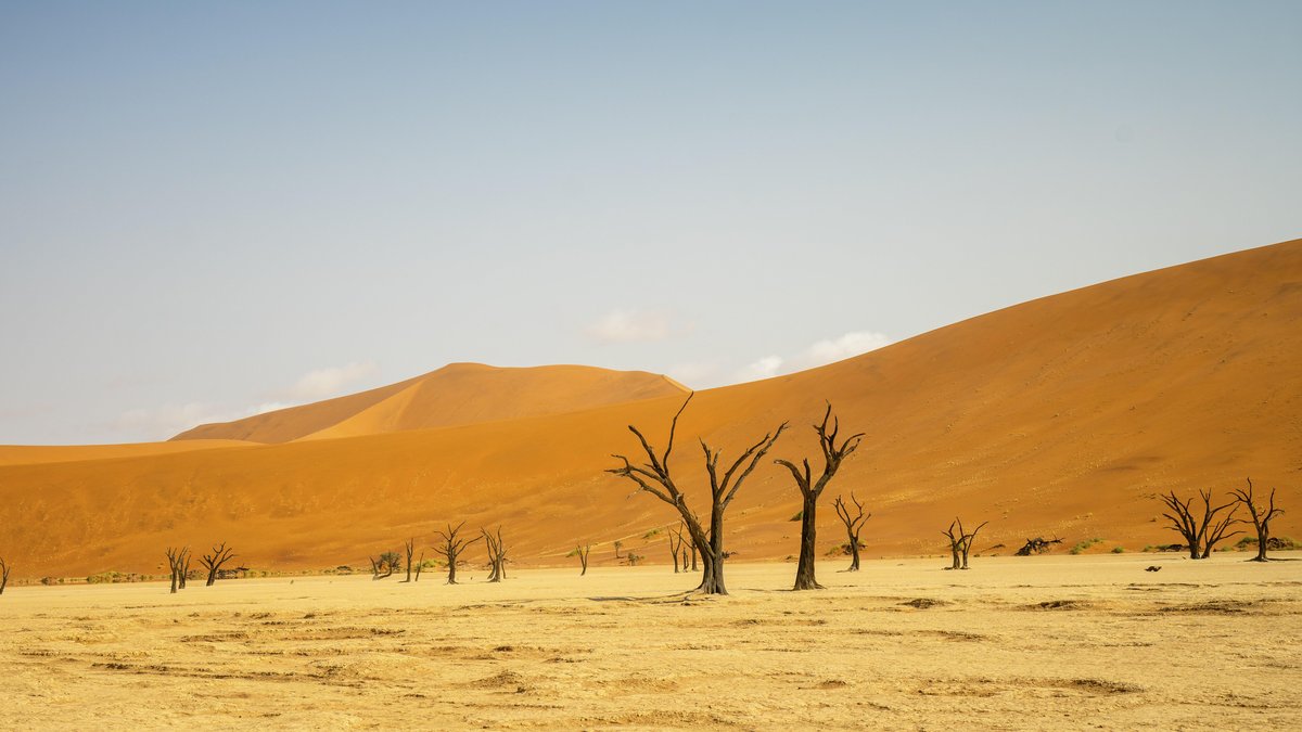 Vier Deutsche sterben bei Flugzeugabsturz in Namibia