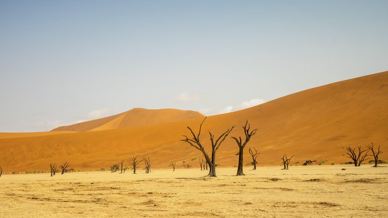 Sossusvlei ist eines der bekanntesten Touristenziele in dem südwestafrikanischen Land, berühmt für seine roten Sanddünen, die zu den höchsten der Welt gehören. | Bild: picture alliance / imageBROKER | Jacek Sopotnicki Sossusvlei ist eines der bekanntesten Touristenziele in dem südwestafrikanischen Land, berühmt für seine roten Sanddünen, die zu den höchsten der Welt gehören.