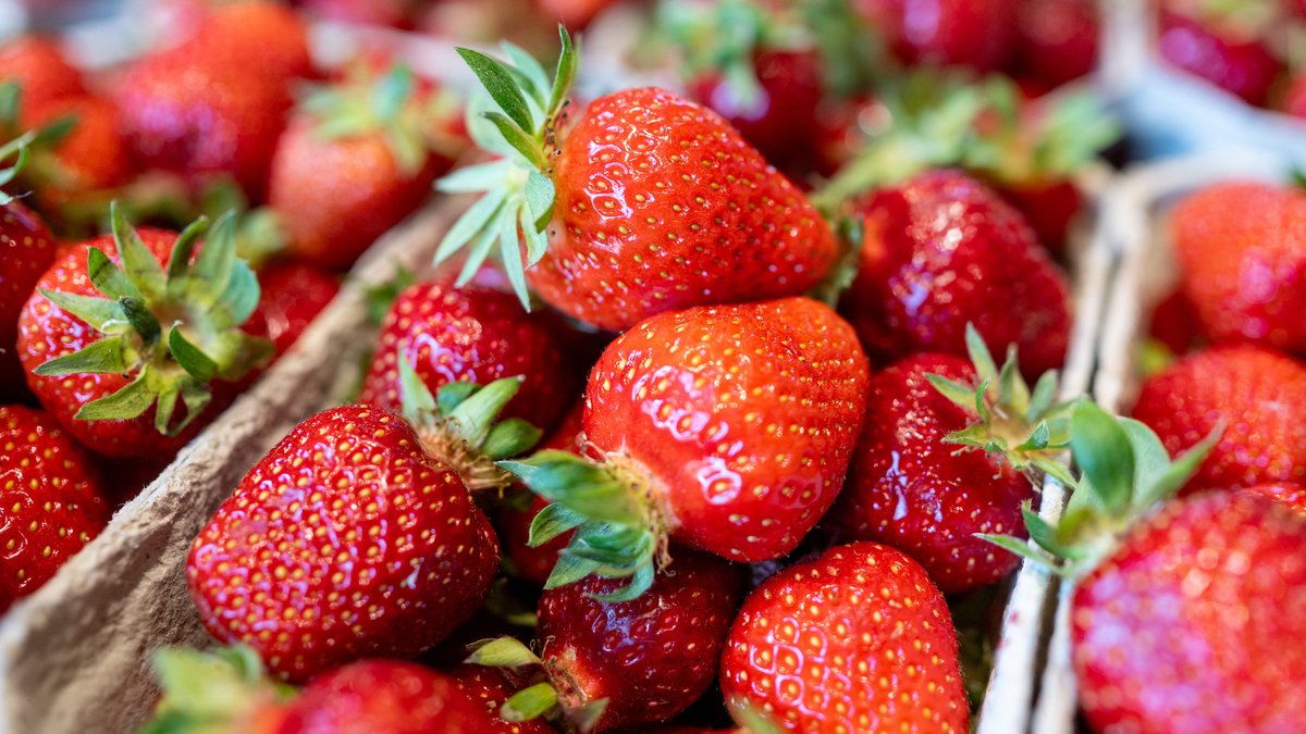 Symbolbild: Erdbeeren