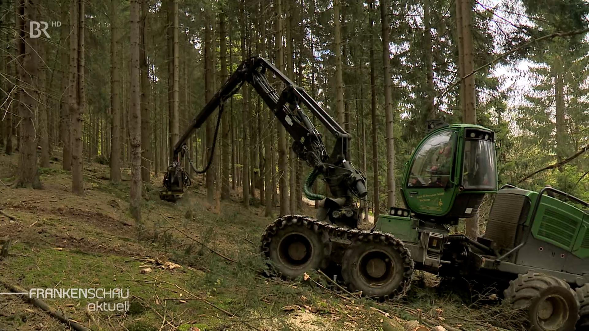 Ein Harvester zerlegt einen Baum im Wald.