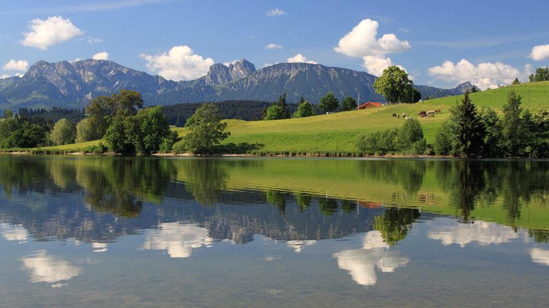 Schwaltenweiher im Ostallgäu | Bild: picture alliance / Artcolor Schwaltenweiher im Ostallgäu