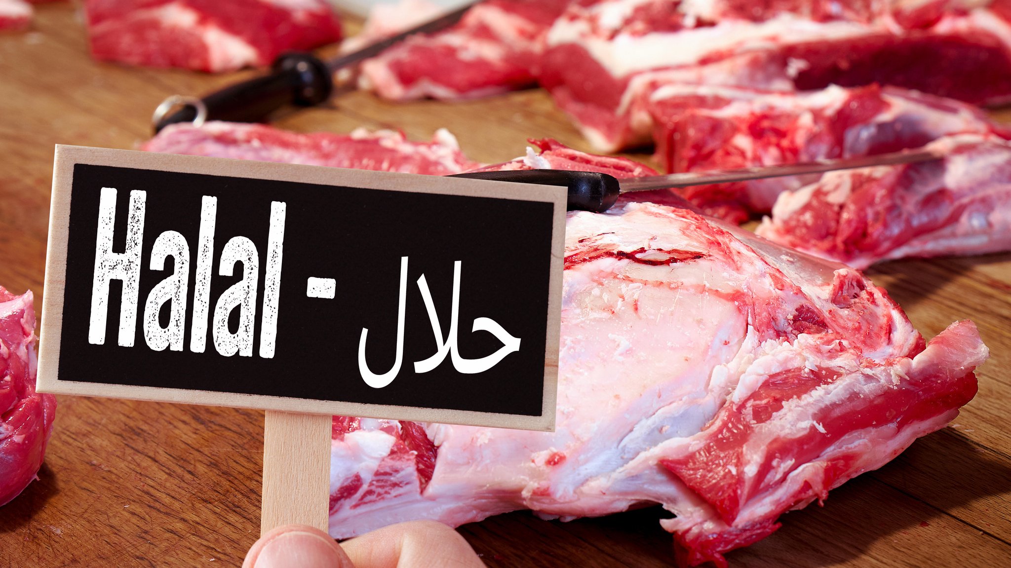 (Symbolbild) Ein Schild mit dem Schriftzug "Halal" vor Fleischstücken