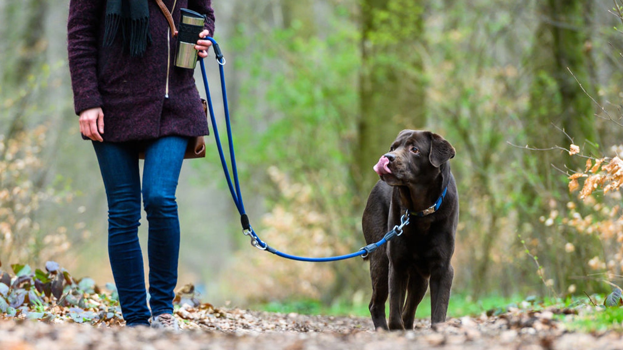 ARCHIV - 26.03.2019, Niedersachsen, Hannover: Eine Frau geht mit ihrem Hund spazieren. Vom 1. April an müssen Hunde wieder bis zum 15. Juli 2023 auf Freiflächen und in Wäldern an die Leine gelegt werden. (zu dpa: «Umweltministerium ist gegen landesweite Leinenpflicht für Hunde») Foto: Christophe Gateau/dpa +++ dpa-Bildfunk +++