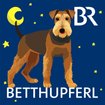 Pelle, der Profi, I (3/5): Buddeln | Bild: Colourbox/ Montage: BR