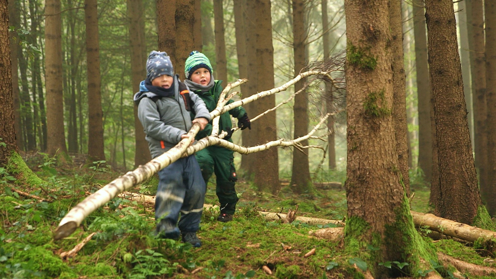 Waldkindergarten bei Freising