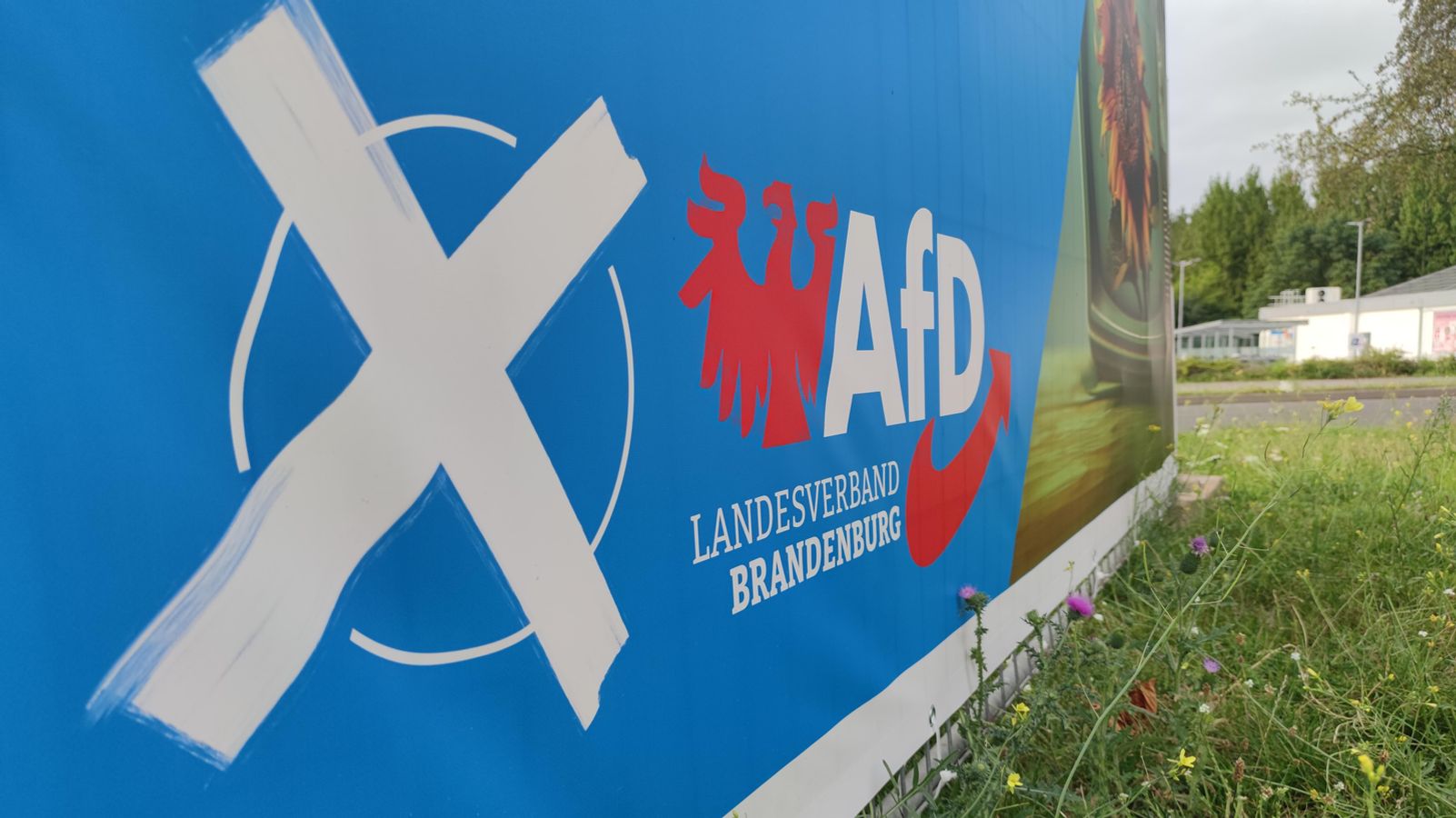 Tehsil Afd Brandenburg: Ist die AfD nach der Wahl überrepräsentiert? | BR24