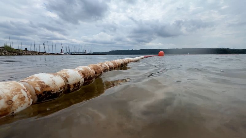 Erneut ist an einer Badeplattform am Brombachsee ein Badegast von einem Waller angegriffen worden. | Bild: Bayerischer Rundfunk 2025 Erneut ist an einer Badeplattform am Brombachsee ein Badegast von einem Waller angegriffen worden.
