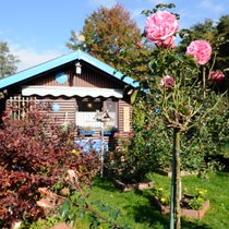 Der Schrebergarten - Idylle im Kleinformat | Bild: picture-alliance/dpa