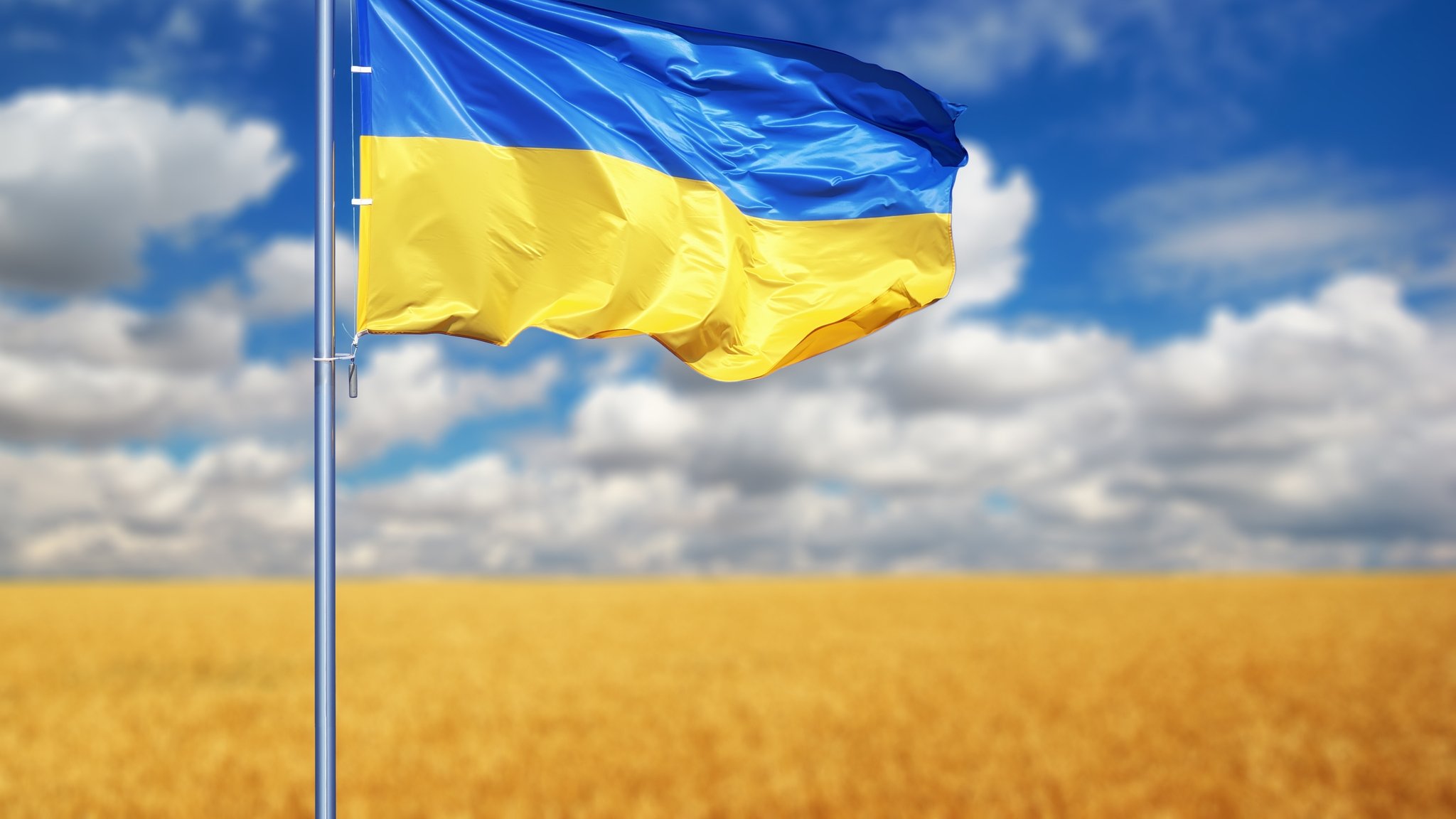 Importe aus der Ukraine: Schaden sie wirklich Bayerns Bauern?