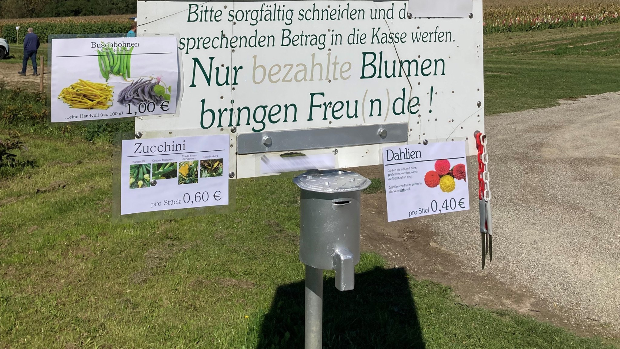 Blumen- und Gemüsefelder zum Selberschneiden und Selberernten: Schild mit Aufschriften, was die Blumen und das Gemüse kosten. | Bild: BR/Christine Schneider Blumen- und Gemüsefelder zum Selberschneiden und Selberernten: Schild mit Aufschriften, was die Blumen und das Gemüse kosten.