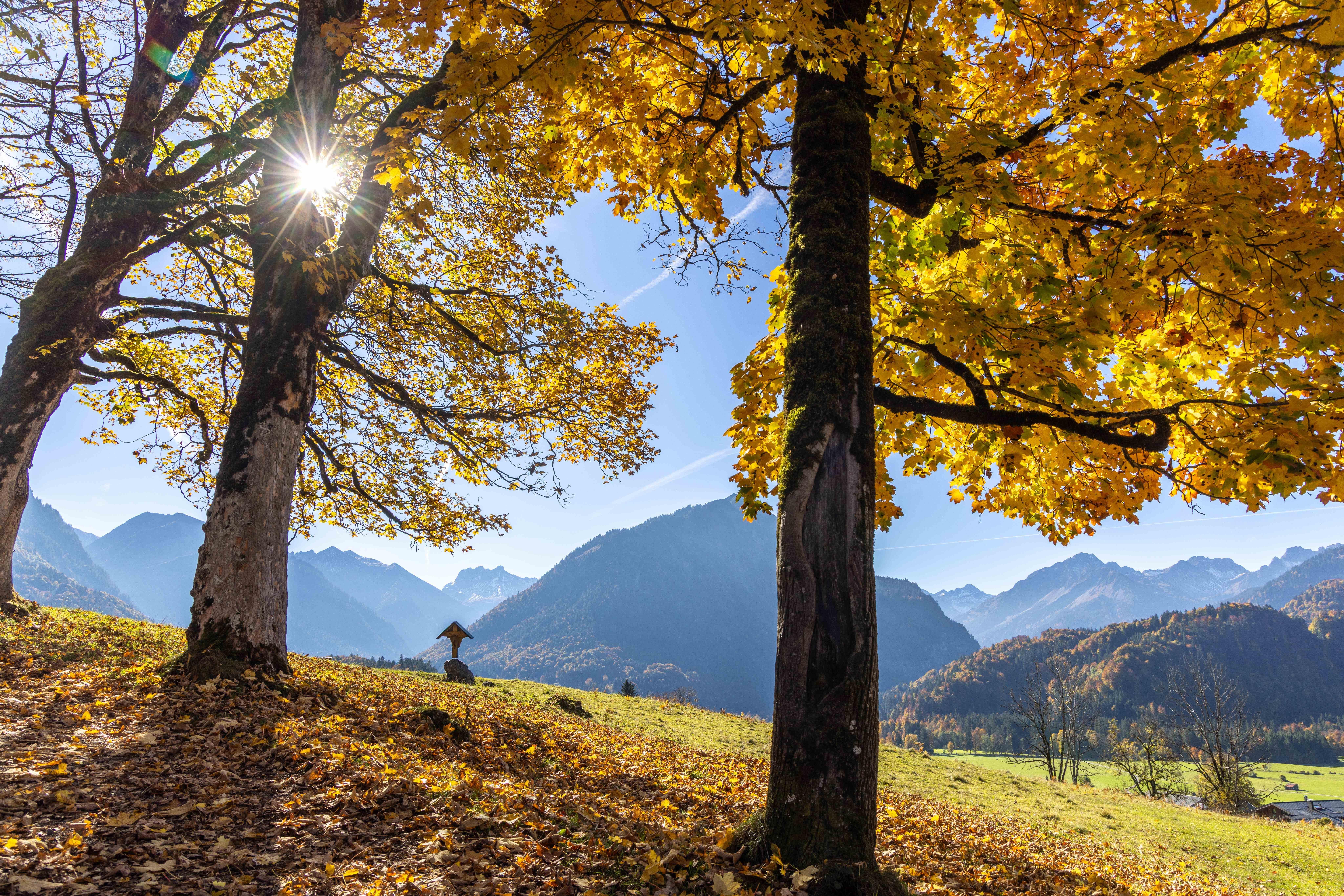 Sonne im Herbst im Allgäu bei Oberstdorf