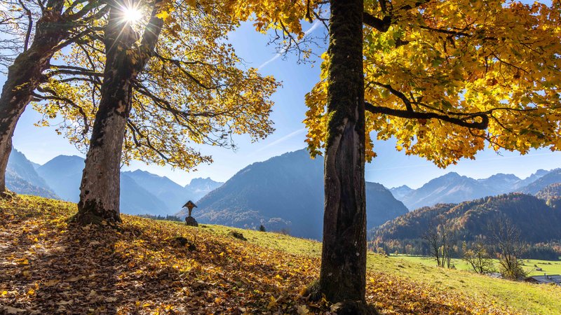 Sonne im Herbst im Allgäu bei Oberstdorf | Bild: picture alliance / Jan Eifert Sonne im Herbst im Allgäu bei Oberstdorf