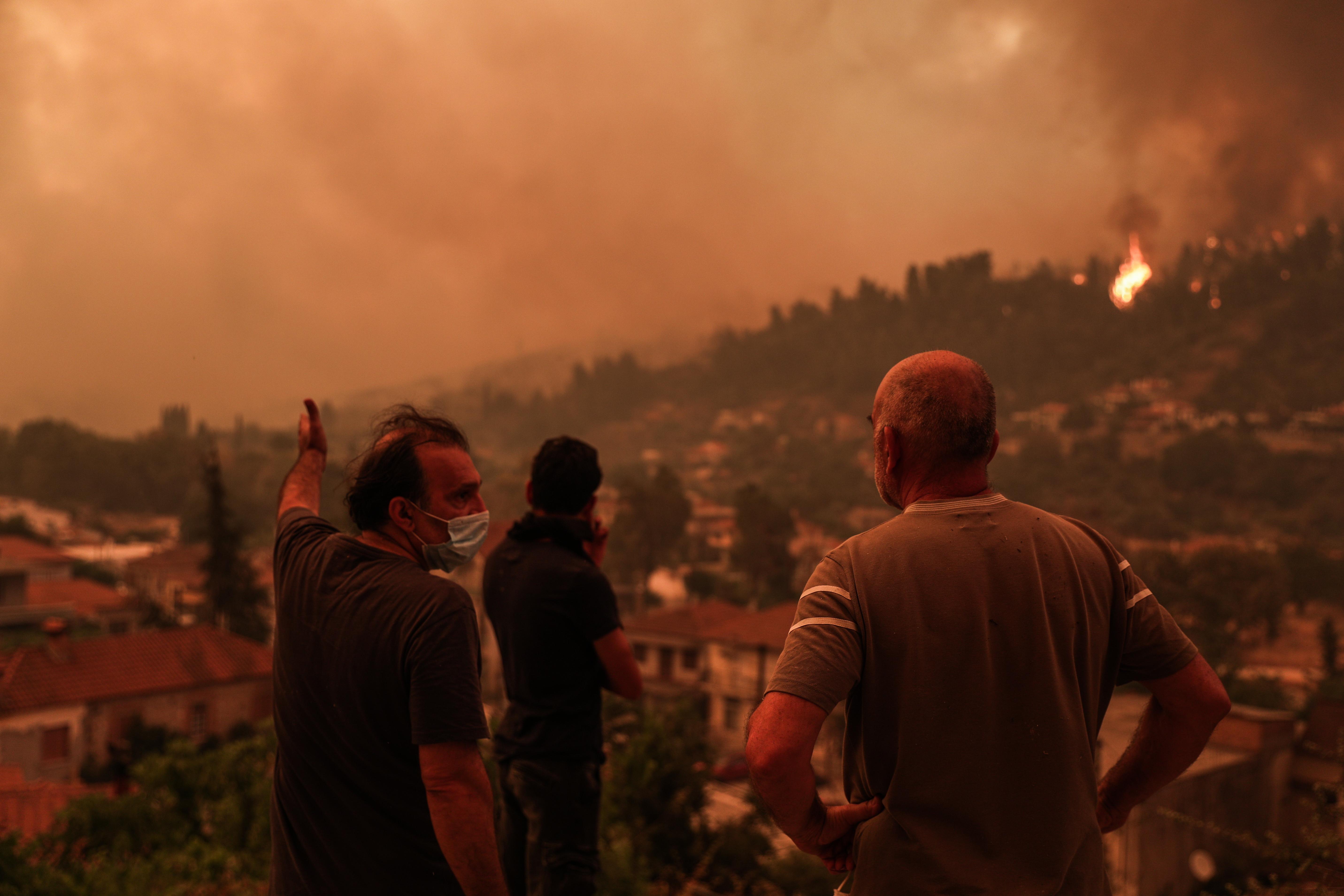 Feuer in Gouves im Norden der griechischen Insel Euböa | Bild:pa / dpa / Vasilis Rebapis