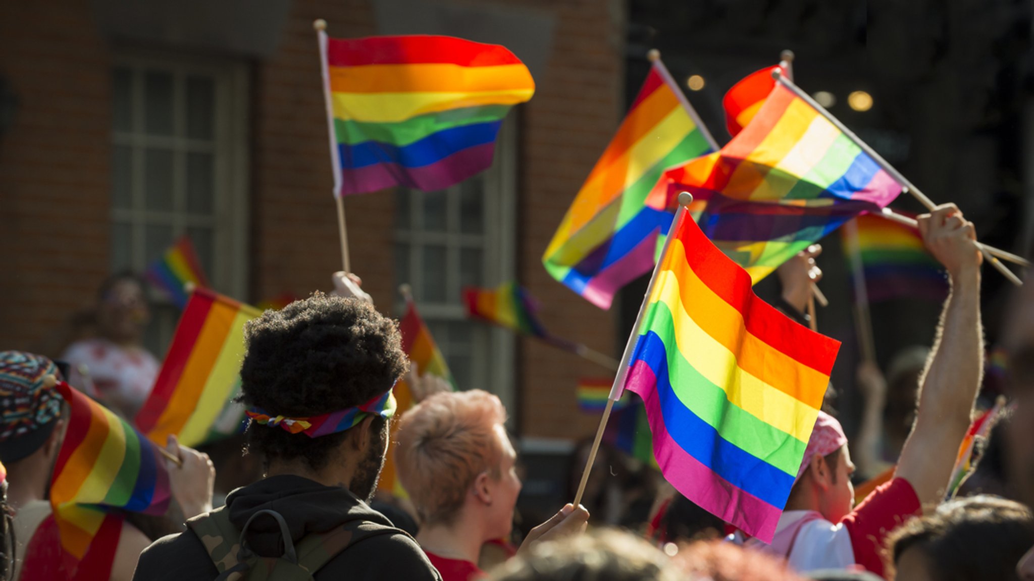 Zu sehen sind Menschen, die Regenbogenflaggen schwenken