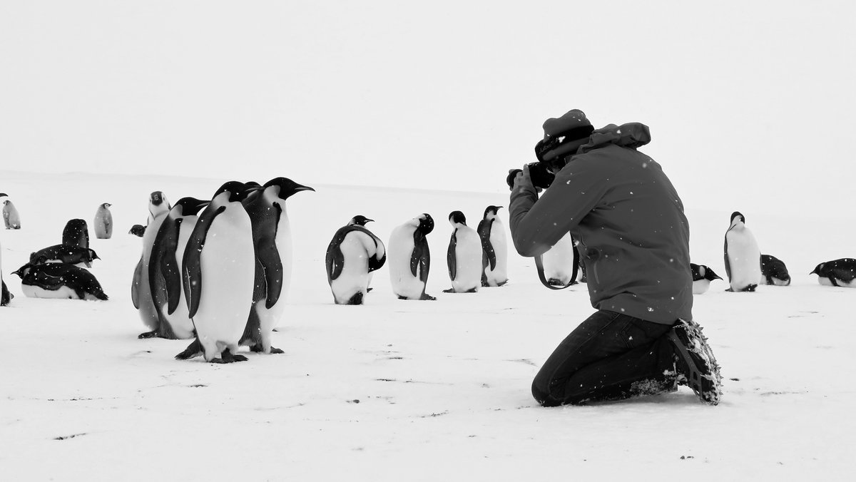 Filmszene aus "Rückkehr zum Land der Pinguine", Regie Luc Jaquet