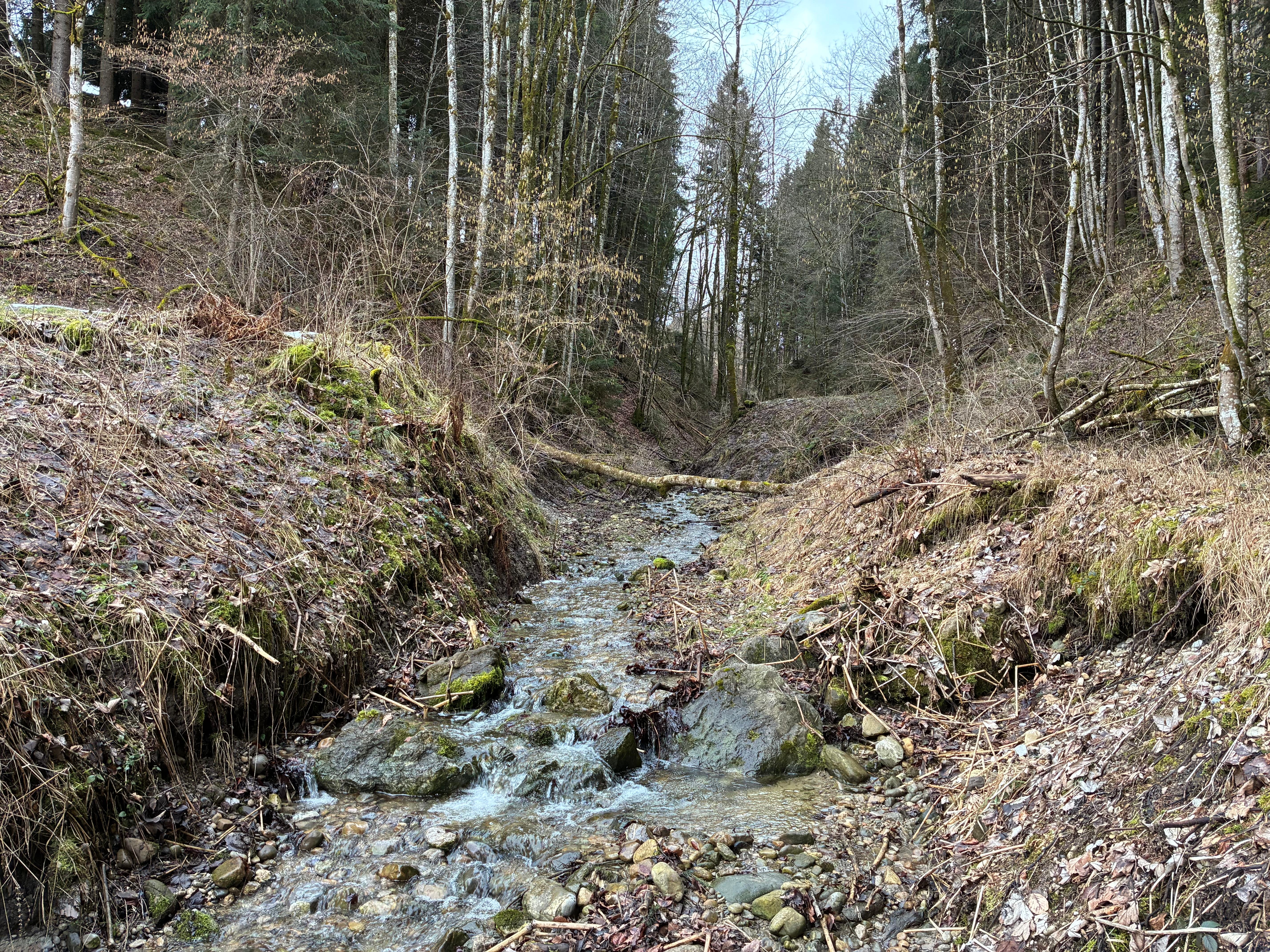Kampf ums Wasser – Quellen als Alternative zum Grundwasser