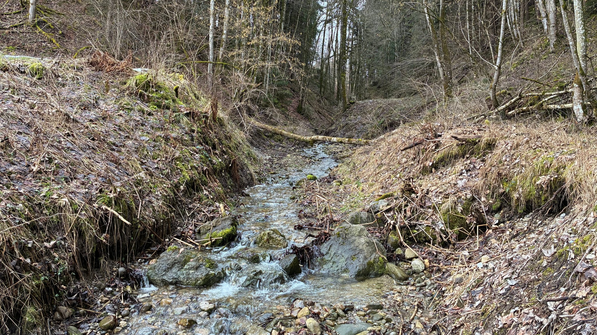 Kampf ums Wasser – Quellen als Alternative zum Grundwasser