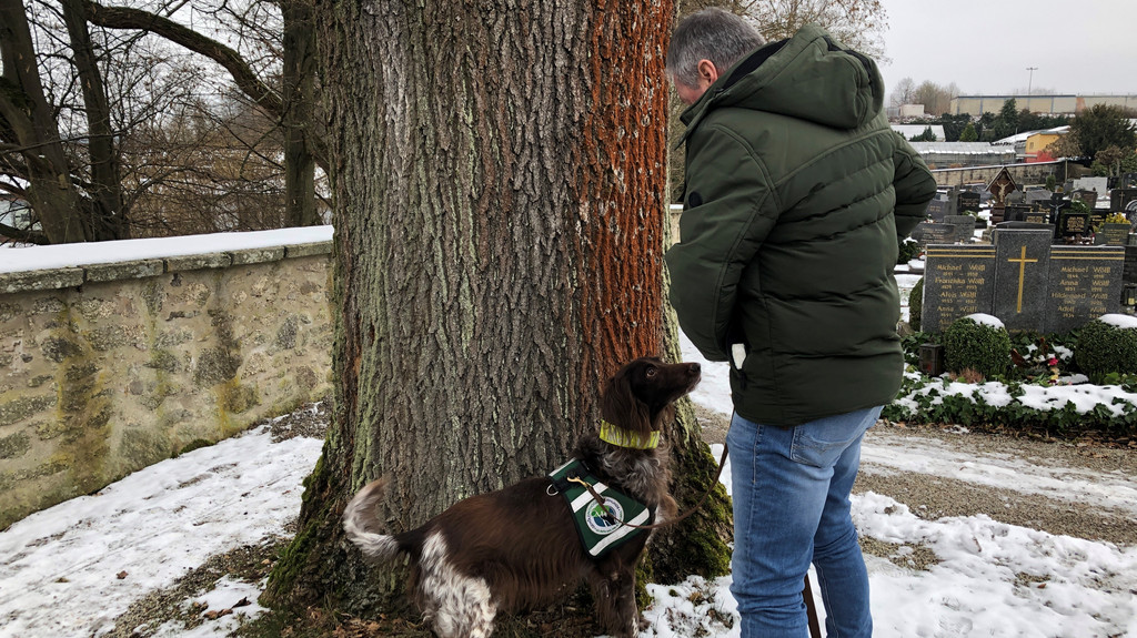 Spürhund Mäx und Baumsachverständiger Edgar Wenisch stehen an einem Baum.
