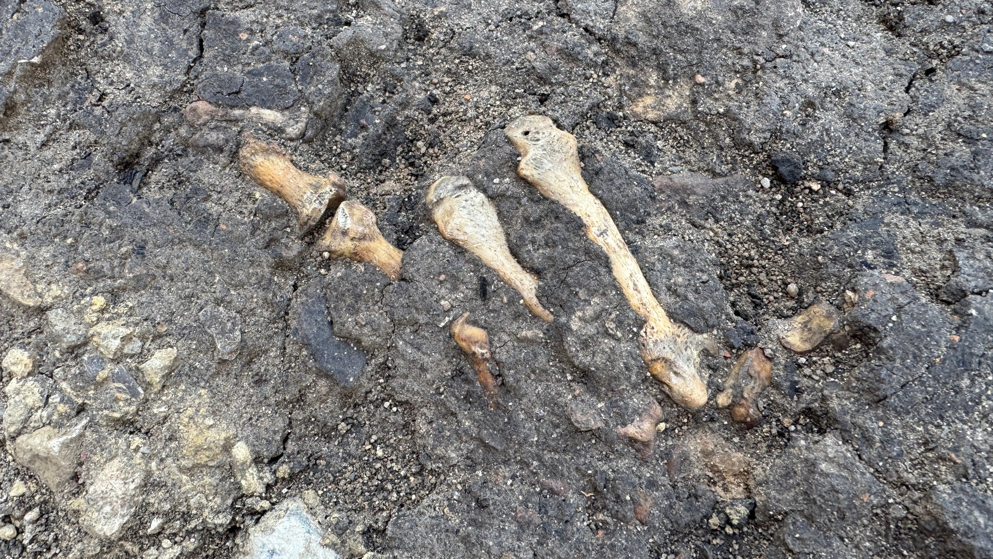 Fingerknochen im Inneren Burghof der Würzburger Festung