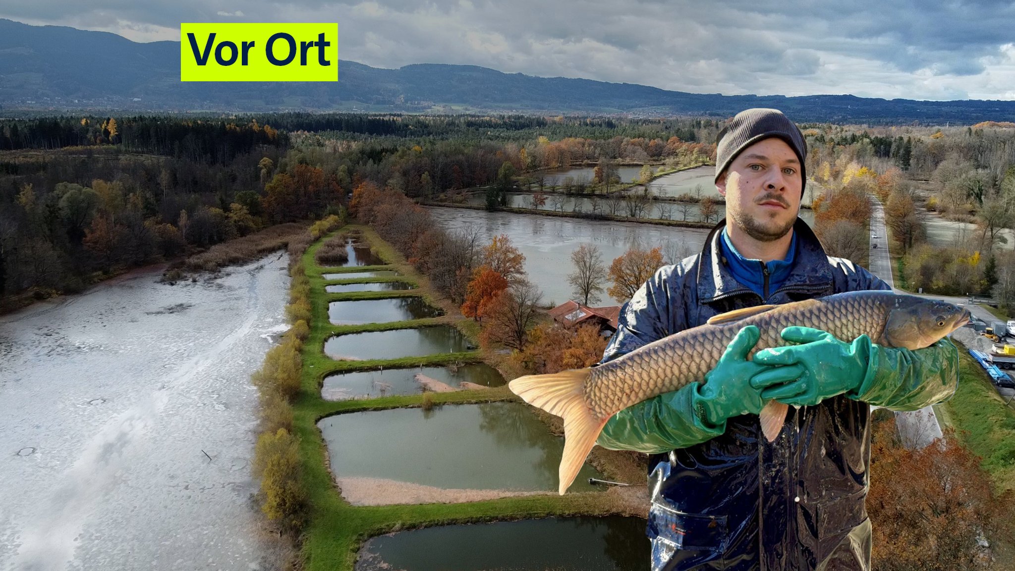 Zu sehen ist Kevin Pommerenke mit einem großen Karpfen in den Händen. Im Hintergrund eine Drohnenaufnahme von den Teichen in Wasserwiesen.