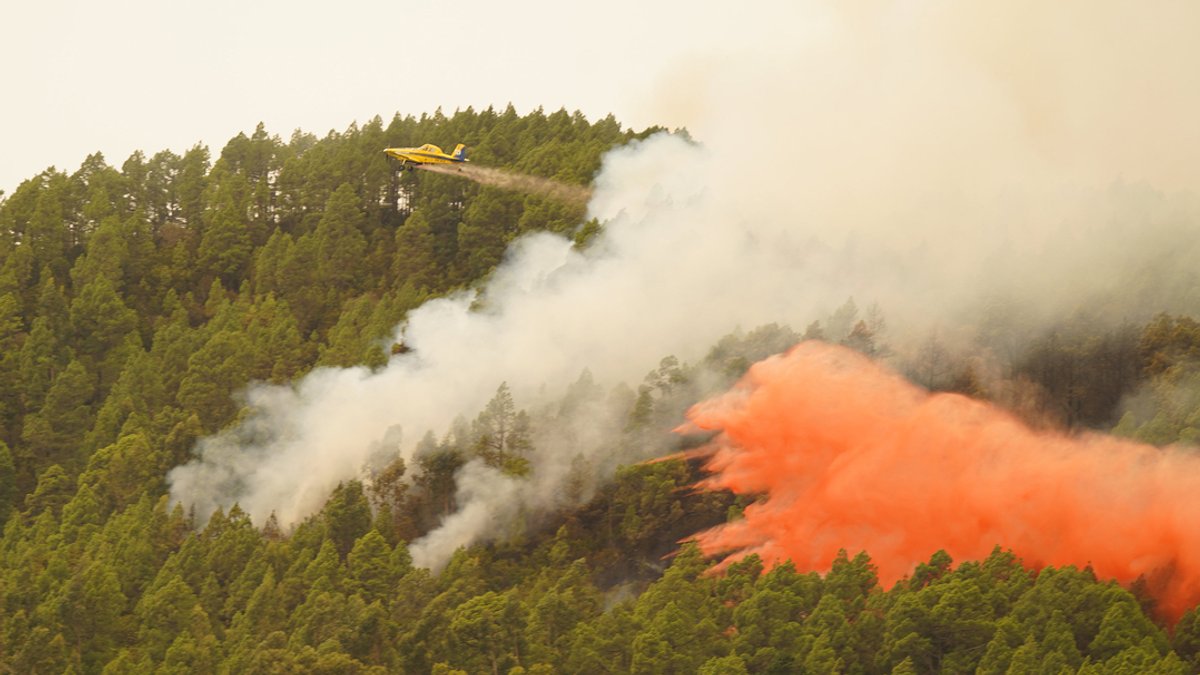 17.08.2023, Spanien, Teneriffa: Ein Löschflugzeug wirft Wasser auf den Waldbrand in der Nähe der Gemeinde El Rosario auf Teneriffa.