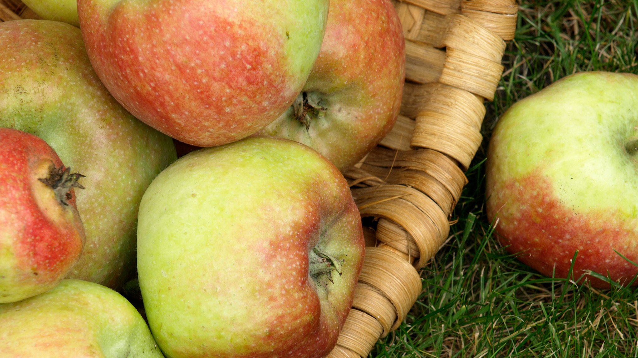 Äpfel in einem Korb