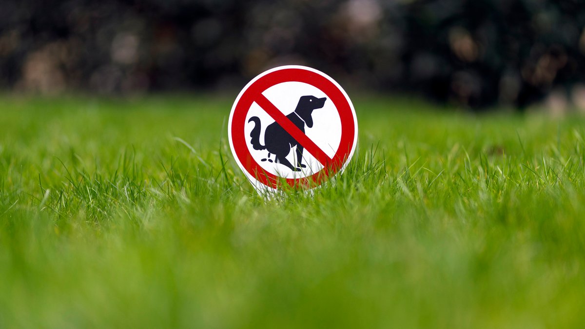 Ein Verbotsschild 'Hier kein Hundeklo' steckt in einem Vorgarten (Symbolbild). 