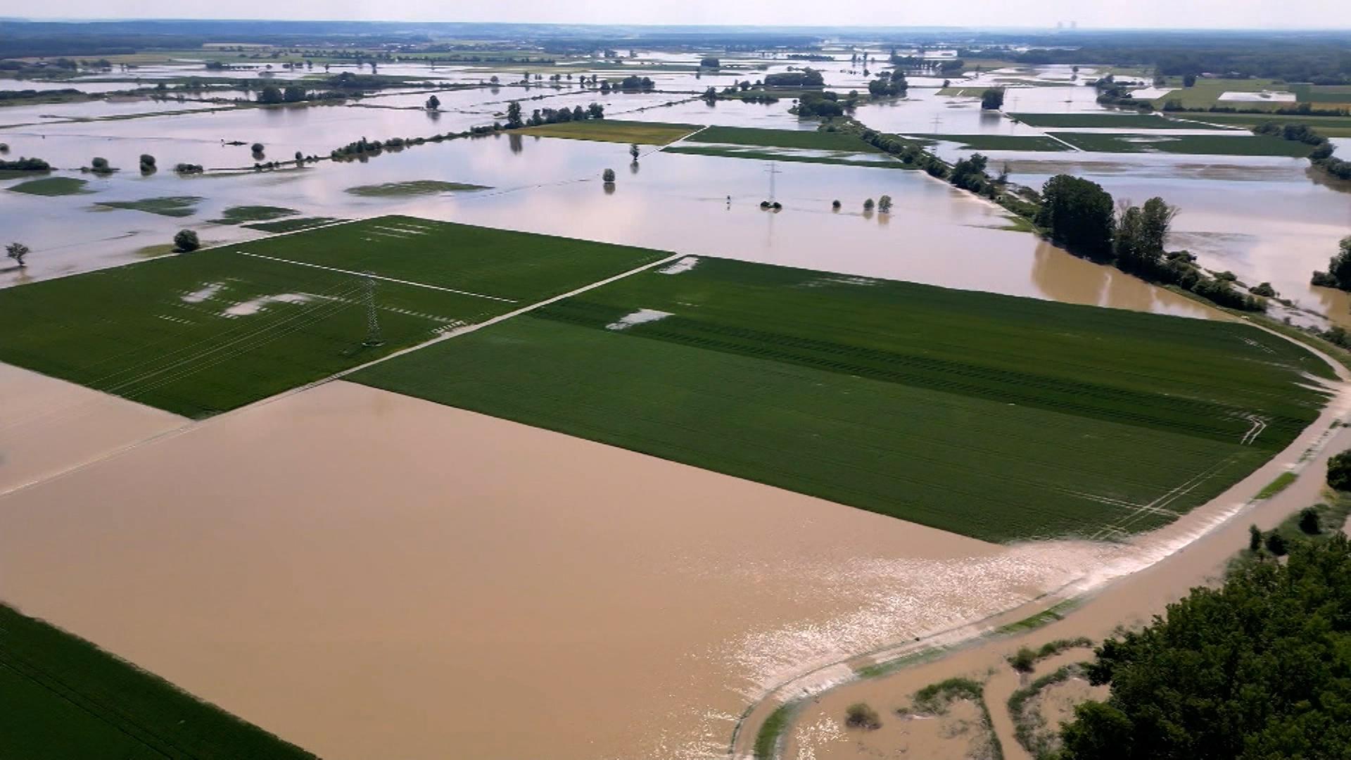 Hochwasserprävention: Naturschützer fordern mehr Renaturierung