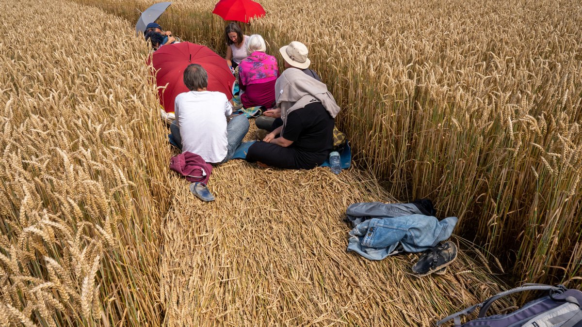 Gauting: Menschen sitzen in einen Kornkreis in einem Weizenfeld