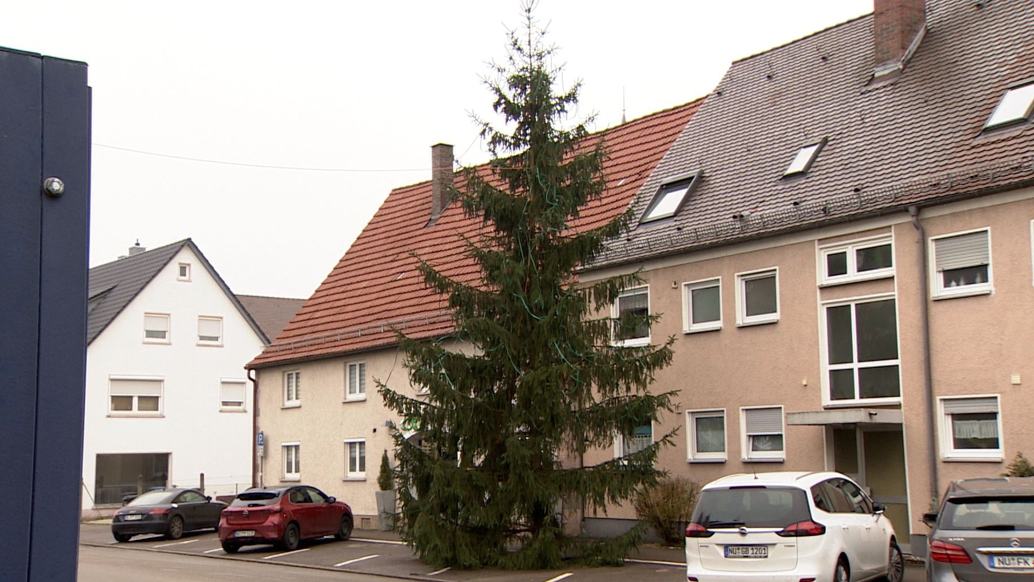 Der neue Christbaum im Neu-Ulmer Stadtteil Pfuhl