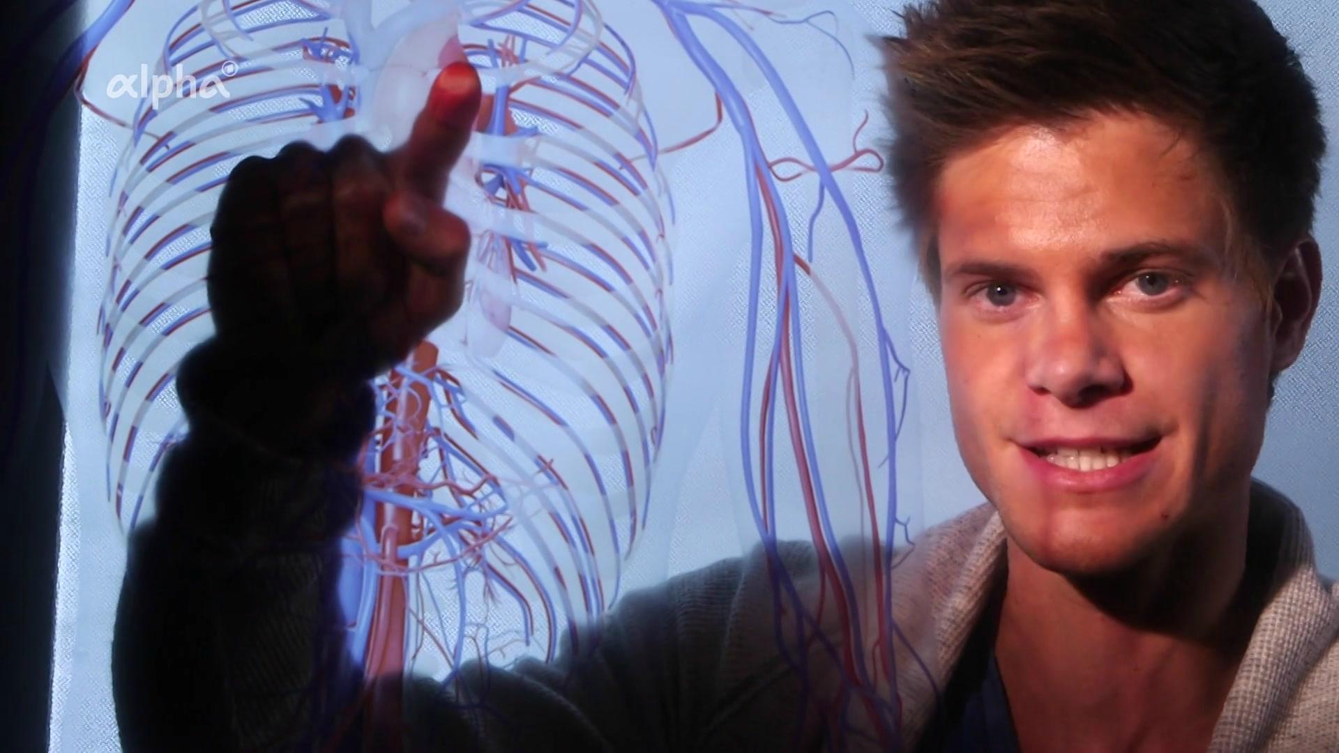 Moderator mit Schaubild zu Blutgefäßen