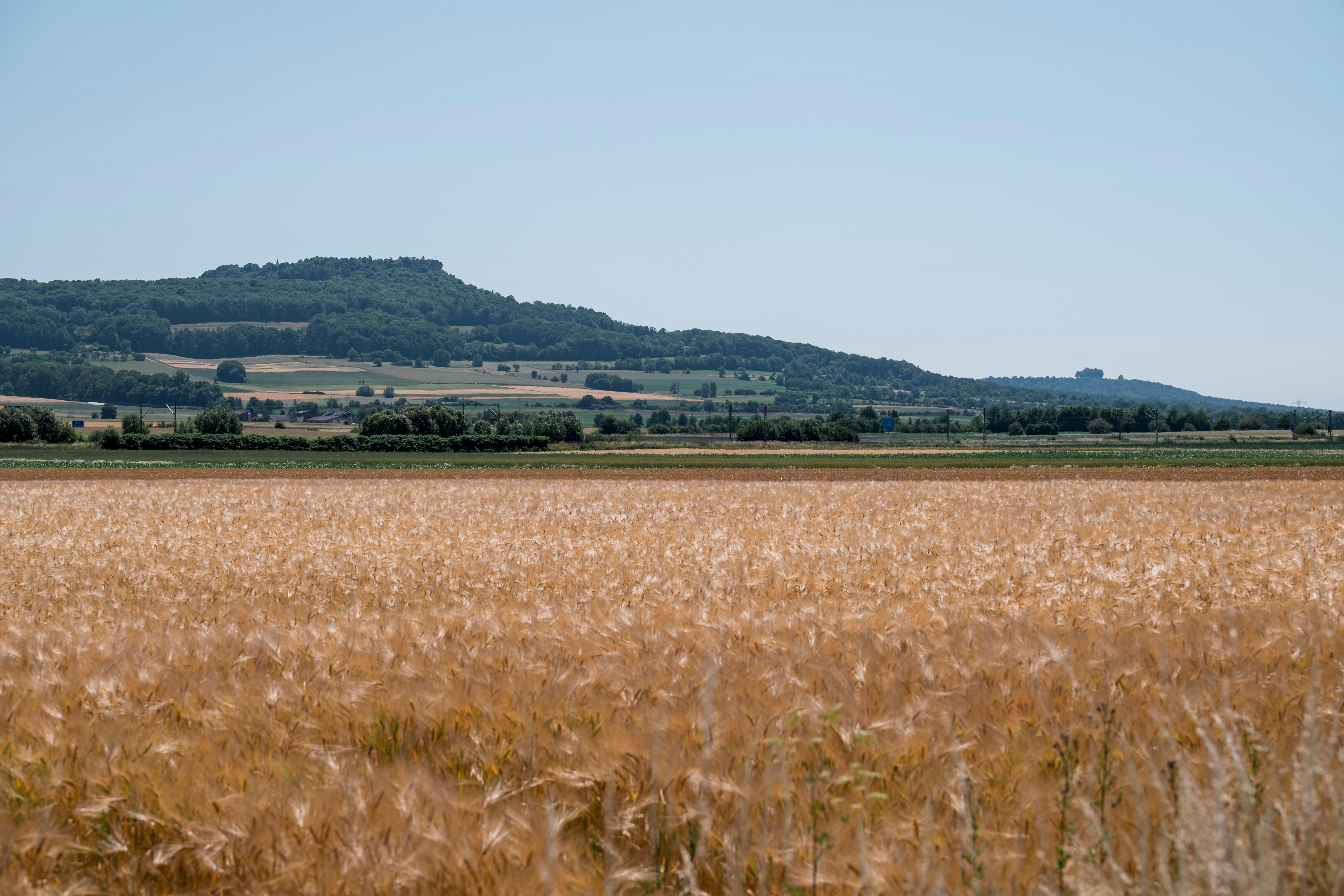 Blick über ein Feld auf den Staffelberg, dem Hausberg des unterfränkischen Bad Staffelstein.