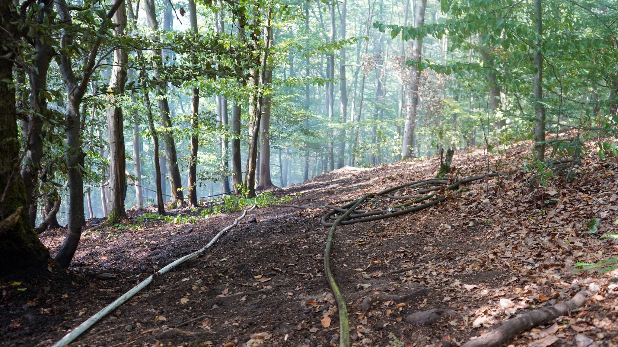 Waldbrand bei Freudenberg unter Kontrolle – Einsatz dauert an