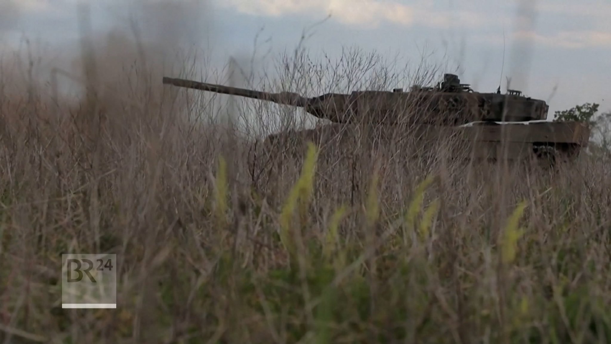 Panzer steht hinter niedrigem Gebüsch