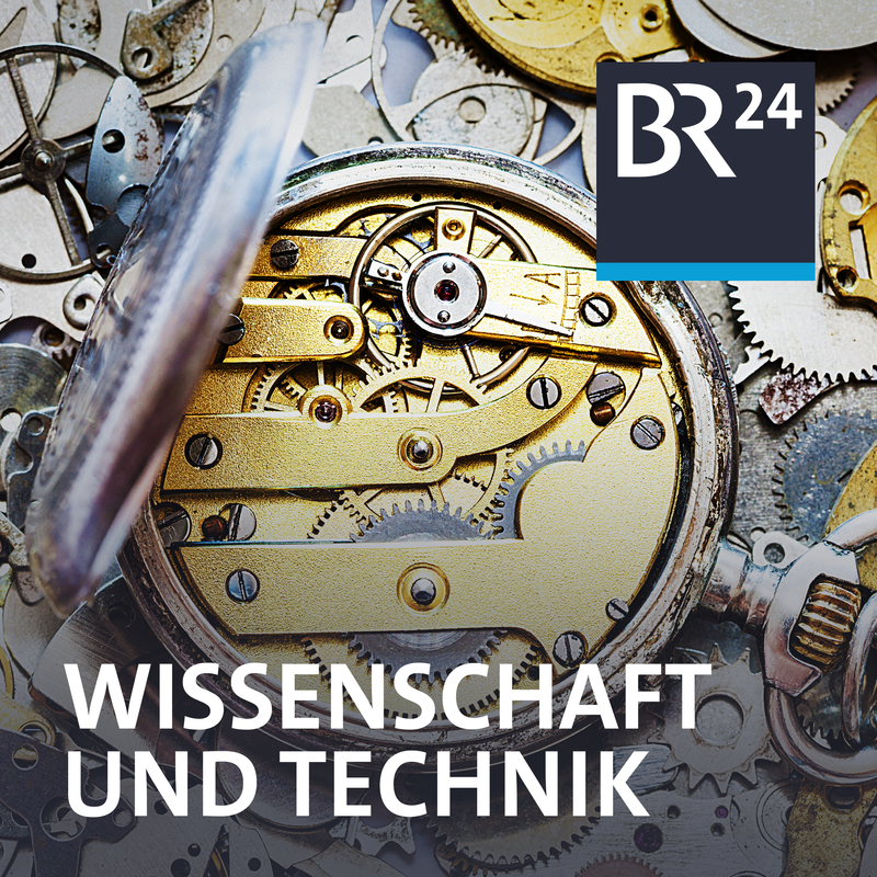 Corona-Ursprung - Welche Rolle spielen Fledermäuse und Klimaerwärmung? - Wissenschaft und Technik | BR Podcast