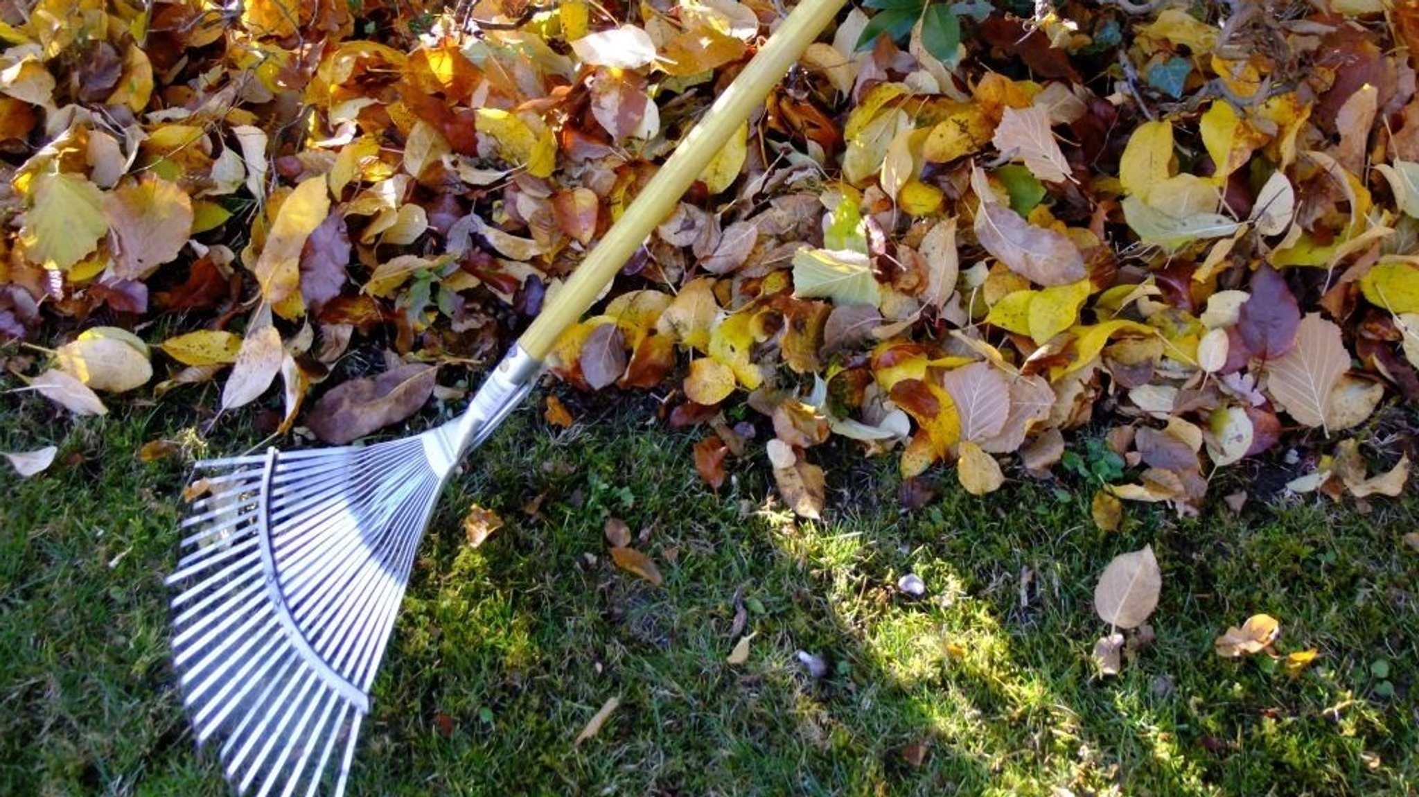 Gartenrechen recht Laub zusammen