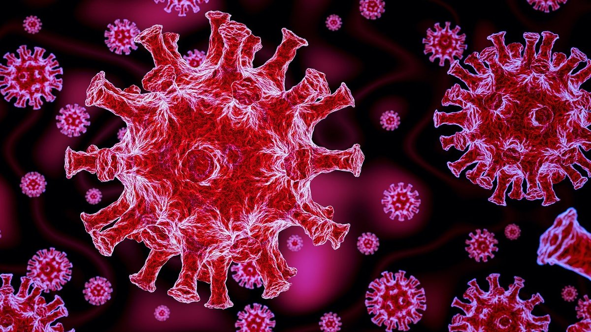Rot eingefärbte kugelförmige Viren mit stachelartigen Fortsätzen, betrachtet unterm Mikroskop.  