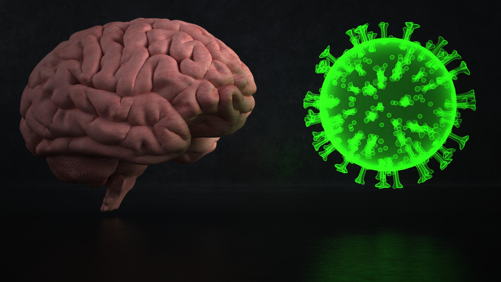 3D-Modell Gehirn und Coronavirus