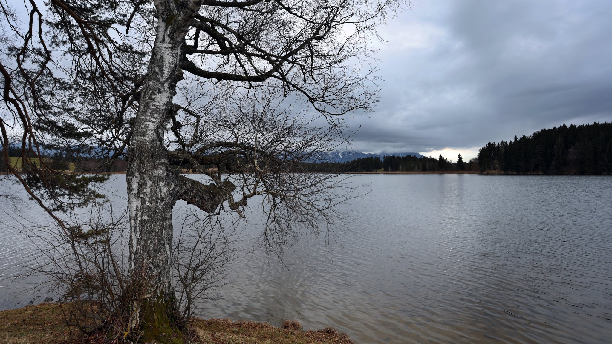 Dichte Wolken liegen über dem am Alpenrand gelegenen Schmuttersee. (23.02.2023)