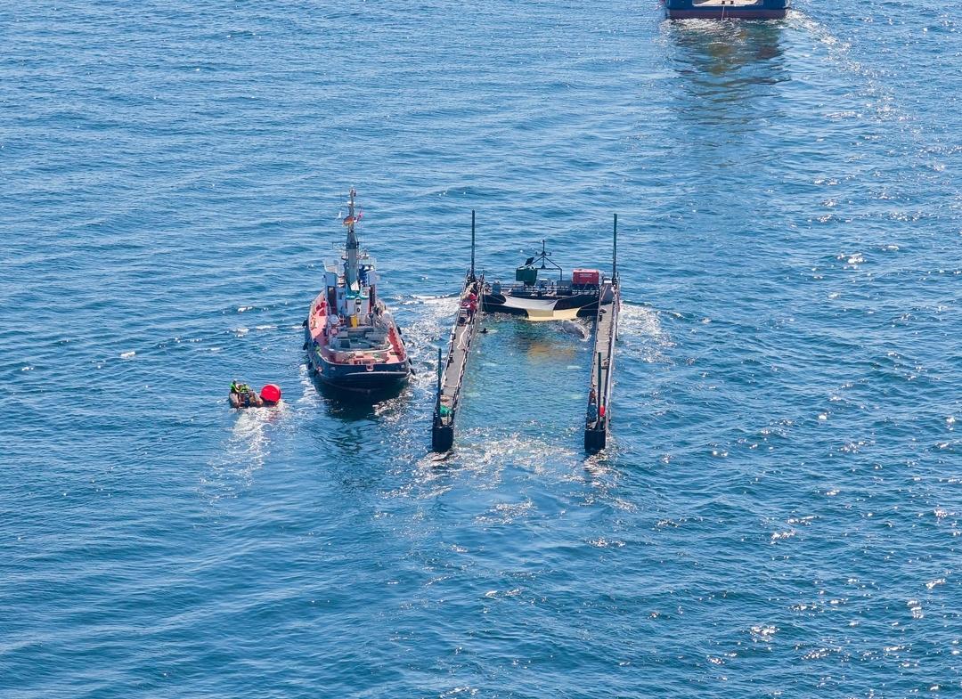Rescue successful: Humpback whale Timmy swims into the North Sea