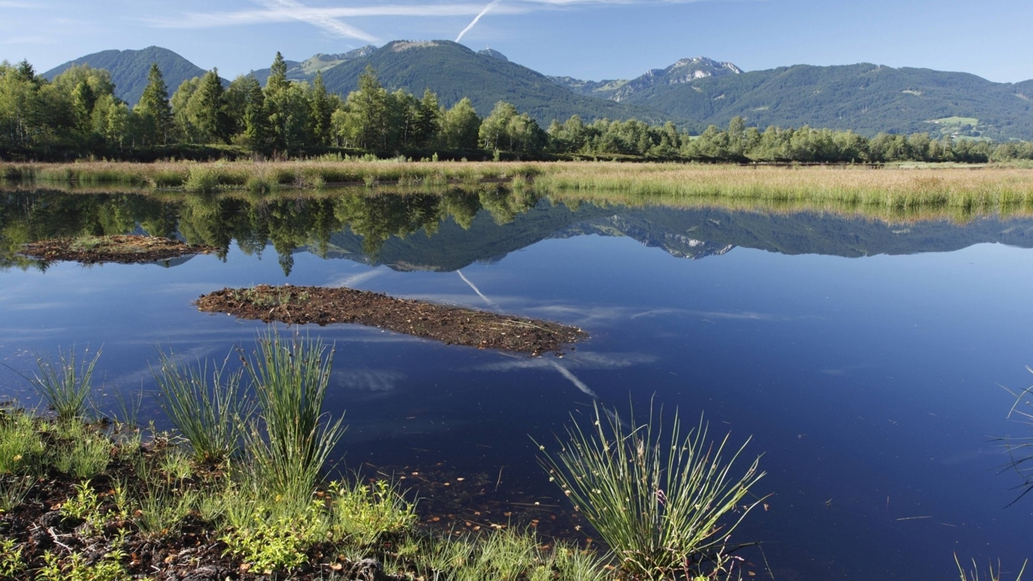 Naturschutzgebiet Rosenheimer Stammbeckenmoore