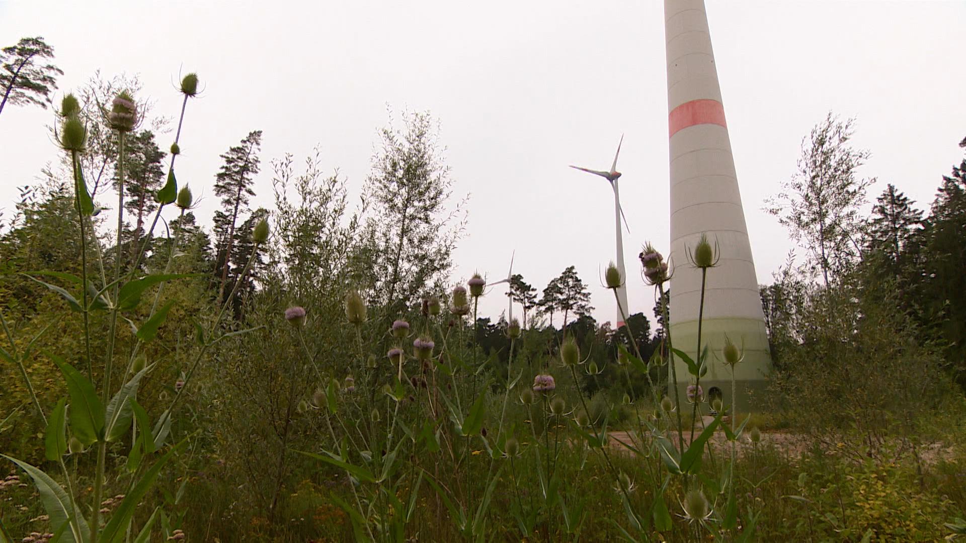 Der Windkraftausbau in Bayern kommt nach wie vor nicht richtig in Schwung. 