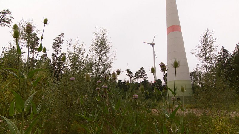Der Windkraftausbau in Bayern kommt nach wie vor nicht richtig in Schwung. 