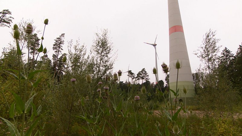 Der Windkraftausbau in Bayern kommt nach wie vor nicht richtig in Schwung. | Bild: Bayerischer Rundfunk 2024 Der Windkraftausbau in Bayern kommt nach wie vor nicht richtig in Schwung.