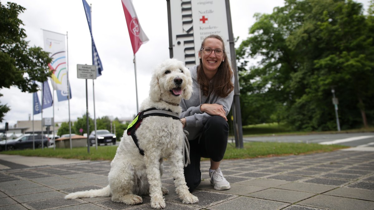 Therapiehund mit eigenem Terminkalender am Klinikum Nürnberg